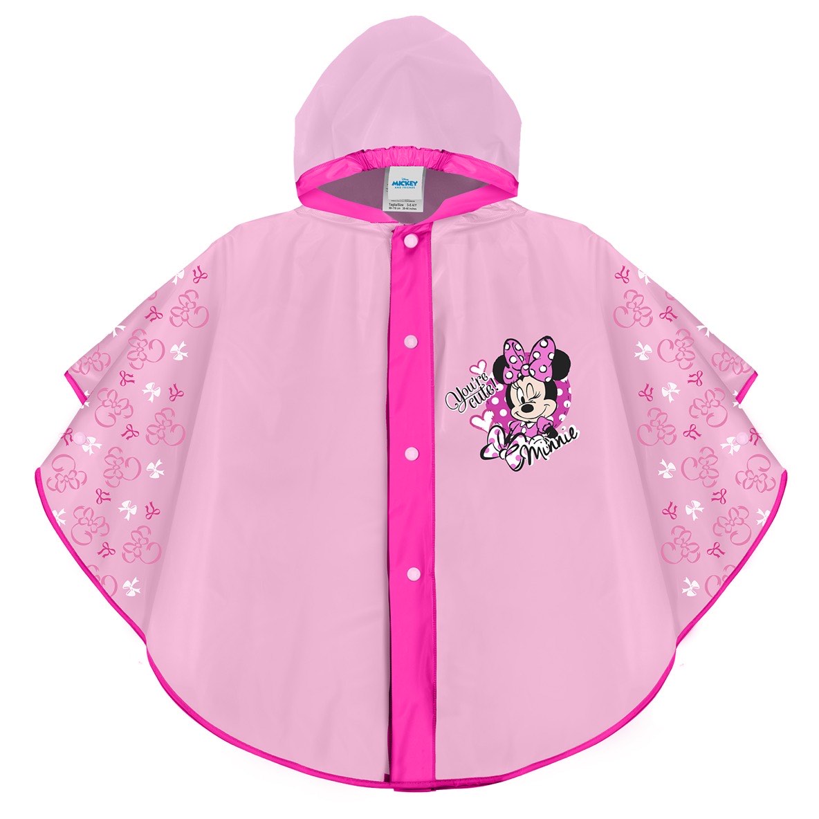 Poncho Minnie