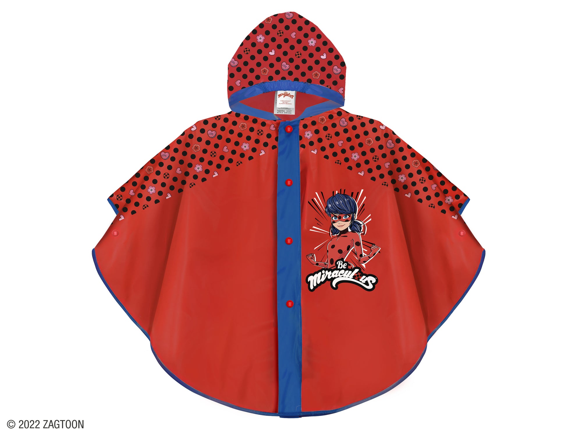 Poncho Ladybug